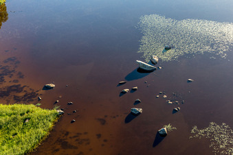 Vue aérienne de Rivage avec des nénuphars dans le lac Åsnen couleur lande près de Hunna dans le Småland à Grimslöv dans le département Kronobergs län, Suède