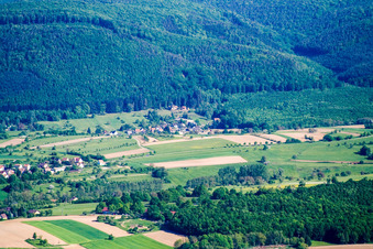 Vue aérienne de Niederbronn, Villa Riessack à Niederbronn-les-Bains dans le département Bas Rhin, France