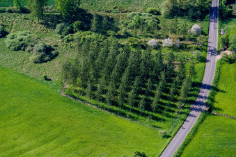 Rothbach dans le département Bas Rhin, France vue d'en haut