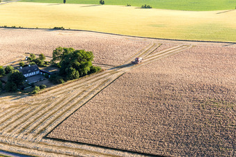 Borre dans le département Sjaelland, Danemark vue du ciel