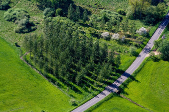 Rothbach dans le département Bas Rhin, France depuis l'avion
