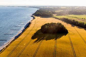 Photographie aérienne de Borre dans le département Sjaelland, Danemark