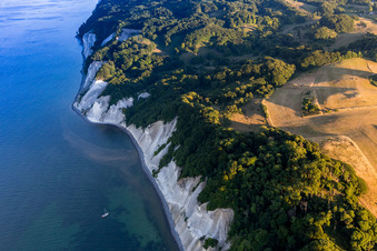 Vue aérienne de Zones forestières de Møns Klint sur la côte escarpée de la mer Baltique à Borre dans le département Sjaelland, Danemark