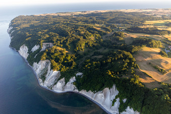 Vue aérienne de Zones forestières de Møns Klint sur la côte escarpée de la mer Baltique à Borre dans le département Sjaelland, Danemark