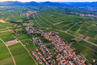 Vue aérienne de Village viticole du sud-est à le quartier Wollmesheim in Landau in der Pfalz dans le département Rhénanie-Palatinat, Allemagne