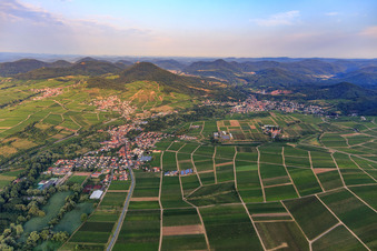 Vue aérienne de Vue de la ville depuis l'est à Siebeldingen dans le département Rhénanie-Palatinat, Allemagne