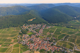 Vue aérienne de Village viticole du sud-est à Frankweiler dans le département Rhénanie-Palatinat, Allemagne