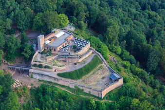 Ruines du château de Rietburg à Rhodt unter Rietburg dans le département Rhénanie-Palatinat, Allemagne hors des airs