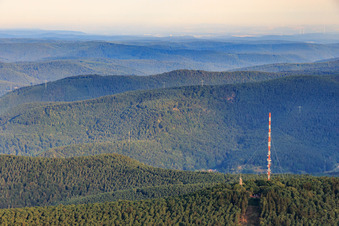 Vue aérienne de Mât de transmission sur le Weinbiet à le quartier Haardt in Neustadt an der Weinstraße dans le département Rhénanie-Palatinat, Allemagne