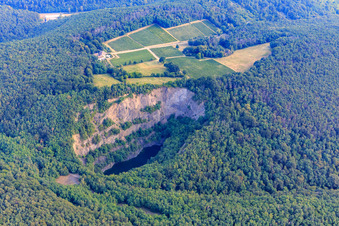 Vue aérienne de Lac basaltique dans la réserve naturelle de Pechsteinkopf - ancienne carrière à Forst an der Weinstraße dans le département Rhénanie-Palatinat, Allemagne