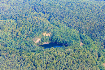 Vue aérienne de Carrière de basalte à Forst an der Weinstraße dans le département Rhénanie-Palatinat, Allemagne