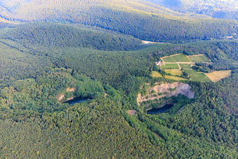 Vue aérienne de Carrière de basalte à Forst an der Weinstraße dans le département Rhénanie-Palatinat, Allemagne