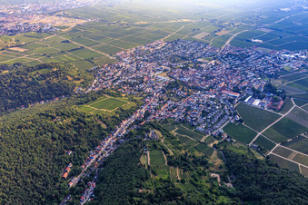 Vue aérienne de Vue de la ville depuis le sud-ouest à Wachenheim an der Weinstraße dans le département Rhénanie-Palatinat, Allemagne