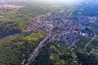 Vue aérienne de Vue de la ville depuis le sud-ouest à Wachenheim an der Weinstraße dans le département Rhénanie-Palatinat, Allemagne