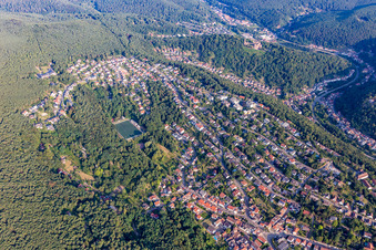 Vue aérienne de Rue Hammelstal à le quartier Seebach in Bad Dürkheim dans le département Rhénanie-Palatinat, Allemagne