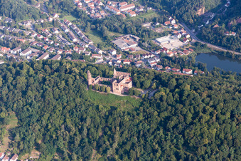 Photographie aérienne de Monastère de Limbourg à le quartier Grethen in Bad Dürkheim dans le département Rhénanie-Palatinat, Allemagne