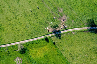 Vue oblique de Ernolsheim-lès-Saverne dans le département Bas Rhin, France