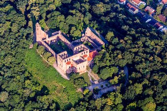Vue aérienne de Ruines du monastère de Limbourg à le quartier Grethen in Bad Dürkheim dans le département Rhénanie-Palatinat, Allemagne