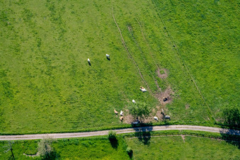 Ernolsheim-lès-Saverne dans le département Bas Rhin, France d'en haut