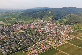 Vue aérienne de Centre du village composé de rues et de maisons et de zones résidentielles entourées de forêts et de bois à Wachenheim an der Weinstraße dans le département Rhénanie-Palatinat, Allemagne