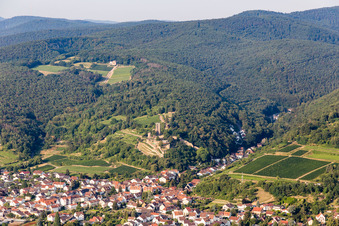 Vue oblique de Ancien château de Wachtenburg (ruines du château de Wachenheim) à Wachenheim an der Weinstraße dans le département Rhénanie-Palatinat, Allemagne