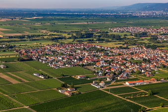 Vue aérienne de Du nord-est à Niederkirchen bei Deidesheim dans le département Rhénanie-Palatinat, Allemagne