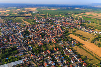 Vue aérienne de Vue du village depuis le nord à Meckenheim dans le département Rhénanie-Palatinat, Allemagne