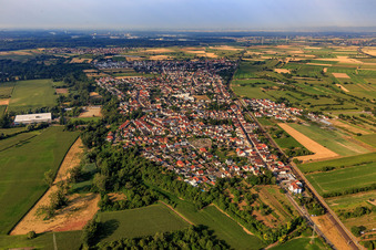Vue aérienne de Rue Gernersheimer à le quartier Berghausen in Römerberg dans le département Rhénanie-Palatinat, Allemagne