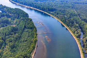 Vue aérienne de Bancs de sable entre les épis du Rhin à le quartier Liedolsheim in Dettenheim dans le département Bade-Wurtemberg, Allemagne