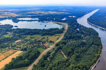 Vue aérienne de Réserve naturelle de la plaine du Rhin de Dettenheim à le quartier Liedolsheim in Dettenheim dans le département Bade-Wurtemberg, Allemagne