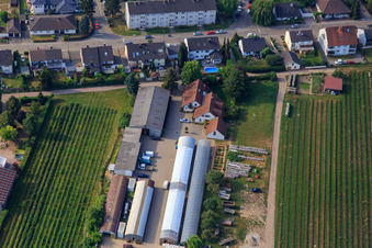 Ferme biologique Kugelmann à Kandel dans le département Rhénanie-Palatinat, Allemagne vue du ciel