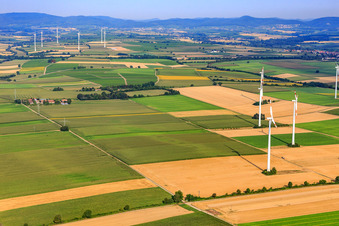 Photographie aérienne de Éoliennes à Minfeld dans le département Rhénanie-Palatinat, Allemagne