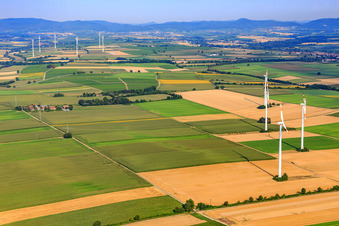 Vue oblique de Éoliennes à Minfeld dans le département Rhénanie-Palatinat, Allemagne