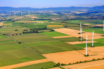 Éoliennes à Minfeld dans le département Rhénanie-Palatinat, Allemagne d'en haut