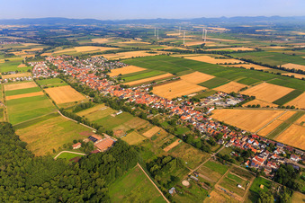 Vue aérienne de Vue du village depuis le sud-est à Freckenfeld dans le département Rhénanie-Palatinat, Allemagne
