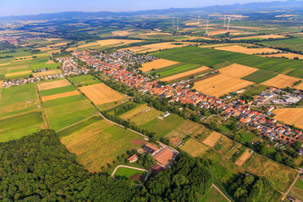 Vue aérienne de Vue du village depuis le sud-est à Freckenfeld dans le département Rhénanie-Palatinat, Allemagne