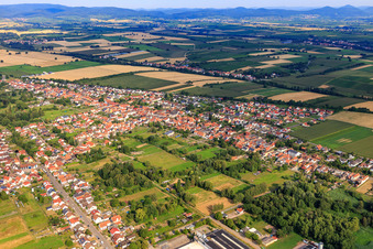 Photographie aérienne de Vue de la ville depuis l'est à le quartier Schaidt in Wörth am Rhein dans le département Rhénanie-Palatinat, Allemagne
