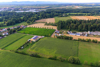 Vue aérienne de Labyrinthe de maïs à Seehof à Steinweiler dans le département Rhénanie-Palatinat, Allemagne