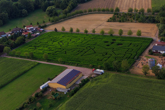Vue aérienne de Labyrinthe de maïs, lieu de mariage et salon de plage Seehof à Steinweiler dans le département Rhénanie-Palatinat, Allemagne