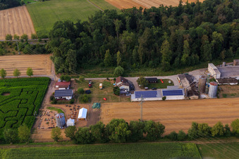 Vue aérienne de Labyrinthe de maïs, lieu de mariage et salon de plage Seehof à Steinweiler dans le département Rhénanie-Palatinat, Allemagne