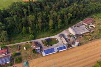 Vue oblique de Labyrinthe de maïs, lieu de mariage et salon de plage Seehof à Steinweiler dans le département Rhénanie-Palatinat, Allemagne