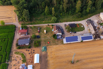 Labyrinthe de maïs, lieu de mariage et salon de plage Seehof à Steinweiler dans le département Rhénanie-Palatinat, Allemagne d'en haut