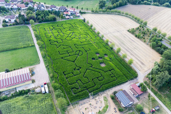 Vue aérienne de Labyrinthe - Labyrinthe sur un champ de maïs à Seehof à Steinweiler dans le département Rhénanie-Palatinat, Allemagne