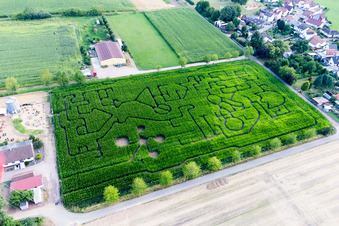 Photographie aérienne de Labyrinthe - Labyrinthe sur un champ de maïs à Seehof à Steinweiler dans le département Rhénanie-Palatinat, Allemagne