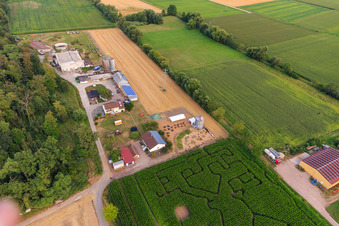 Labyrinthe de maïs, lieu de mariage et salon de plage Seehof à Steinweiler dans le département Rhénanie-Palatinat, Allemagne vue d'en haut