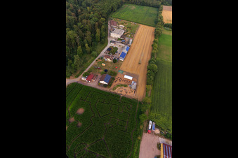 Labyrinthe de maïs, lieu de mariage et salon de plage Seehof à Steinweiler dans le département Rhénanie-Palatinat, Allemagne depuis l'avion