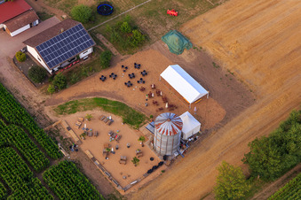 Vue d'oiseau de Labyrinthe de maïs, lieu de mariage et salon de plage Seehof à Steinweiler dans le département Rhénanie-Palatinat, Allemagne