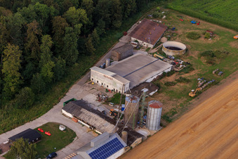 Labyrinthe de maïs, lieu de mariage et salon de plage Seehof à Steinweiler dans le département Rhénanie-Palatinat, Allemagne vue du ciel