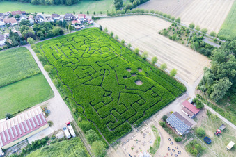 Vue oblique de Labyrinthe - Labyrinthe sur un champ de maïs à Seehof à Steinweiler dans le département Rhénanie-Palatinat, Allemagne