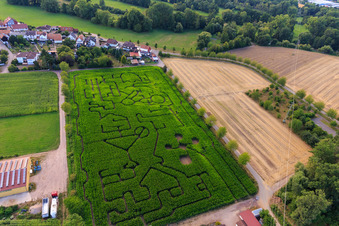 Vue aérienne de Labyrinthe de maïs à Seehof à Steinweiler dans le département Rhénanie-Palatinat, Allemagne